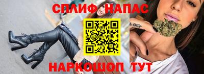 гидра Кандалакша